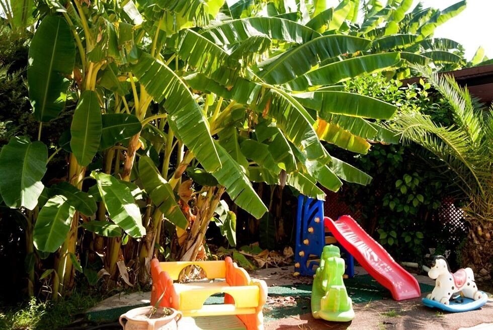 Фотография Kromer Garden Hotel 3*